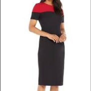 Maggy London Carly Colorblock Dress